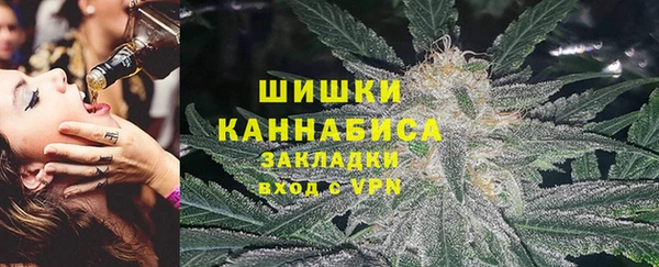ПСИЛОЦИБИНОВЫЕ ГРИБЫ Магас
