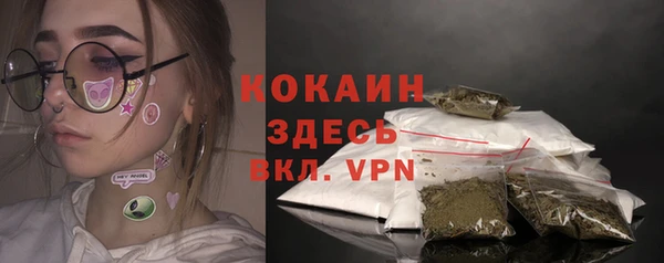 ПСИЛОЦИБИНОВЫЕ ГРИБЫ Магас