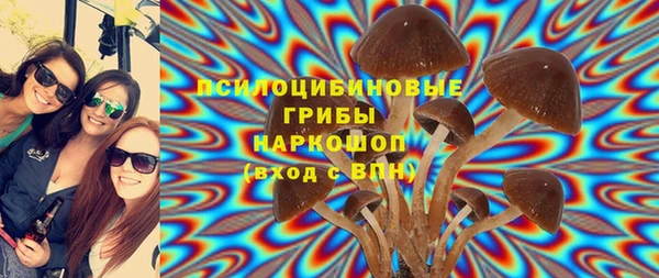 индика Кущёвская