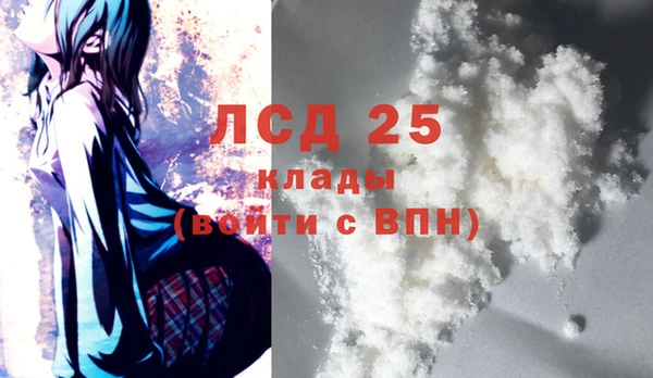 ПСИЛОЦИБИНОВЫЕ ГРИБЫ Магас