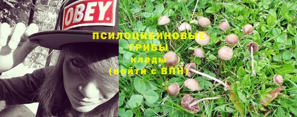 МДМА Лиски
